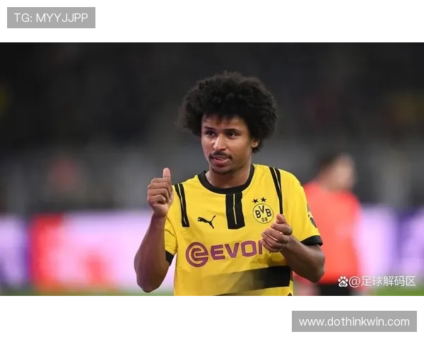 阿德耶米技术特点