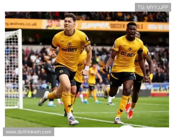 狼队整体实力表现稳健,当前赛季竞争力持续提升